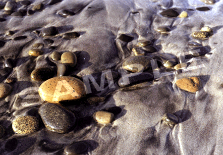 California Beach